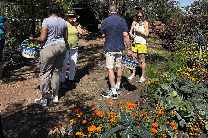 Farm to Table Cooking Experience in San Miguel - Price and Value: Is $250 Worth It?