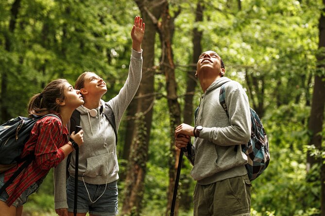Firefly Sanctuary Tour in Puebla - Why the Guide Intro Makes Firefly Watching Easier
