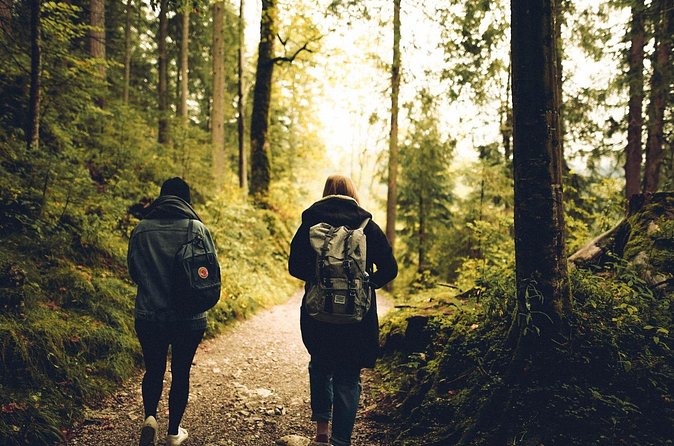 Firefly Sanctuary Tour in Puebla - Who This Firefly Sanctuary Tour Fits Best