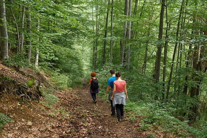 Firefly Sanctuary Tour in Puebla - Should You Book This Firefly Sanctuary Tour in Puebla?