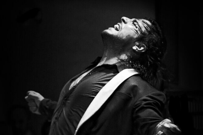 Flamenco Live Show and Dinner in Mexico City - Key details that matter before you go