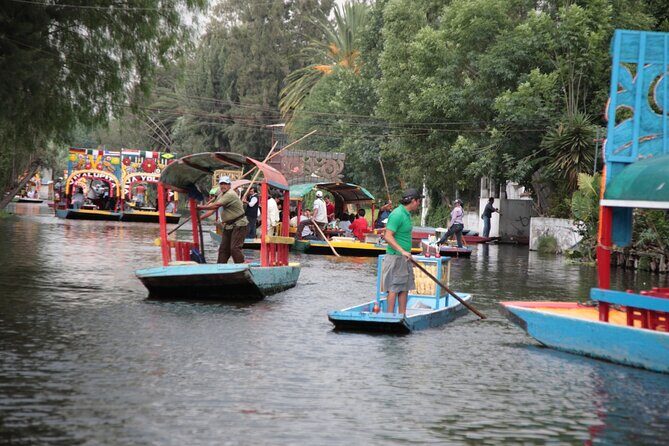 Floating Flower Gardens Of Xochimilco with a Local: Private & Personalized - Museo Dolores Olmedo: where a socialite story shapes the visit