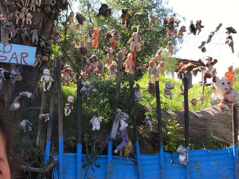 "Floating Party in Xochimilco: Canals, Tequila, and Tradition" - Xochimilco from Caltongo: what this floating party is actually like