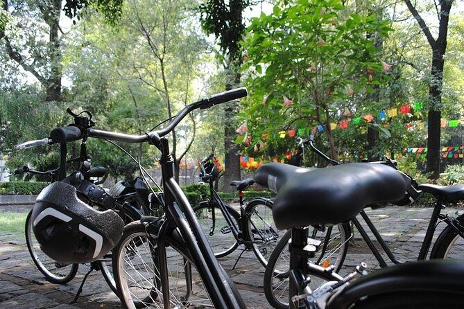 Frida Kahlo VIP - Bike & Churros [Museum Tickets Included] - Who should book this, and who might want a different style