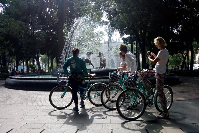 Frida's Heart Guided Biking Tour in Coyoacán - The one red flag: a guide not showing up