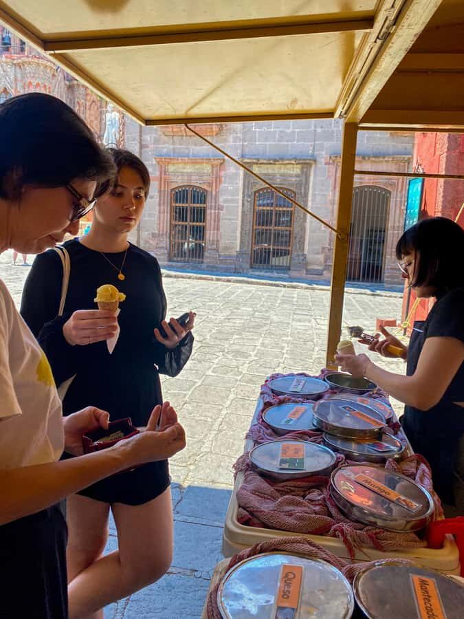 From CDMX: One day tour of colonial San Miguel de Allende - Ignacio Allende, the municipal plaza, and the independence story