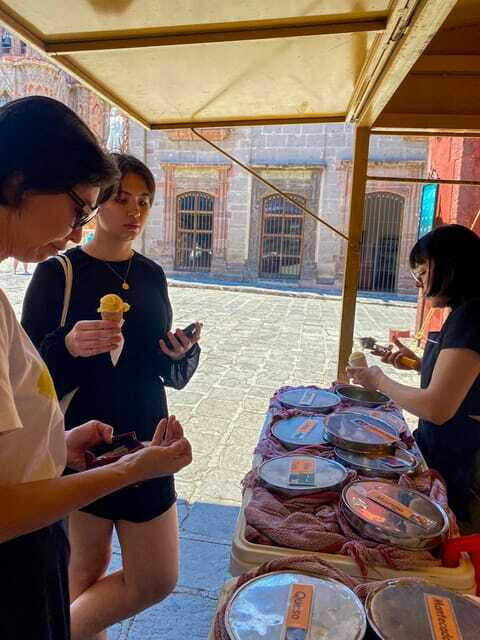 From CDMX: One day tour of colonial San Miguel de Allende - Service quality and guide clarity (a real difference on tours)