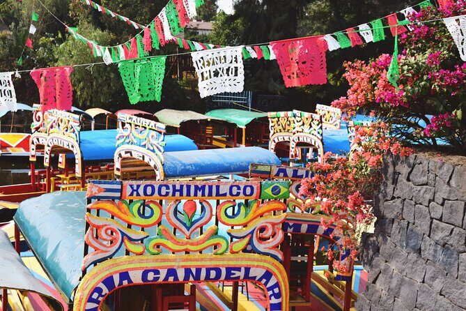 From cdmx: Tour in Coyoacan and Xochimilco all inclusive - Xochimilco: the trajinera ride and the market you’ll want time for