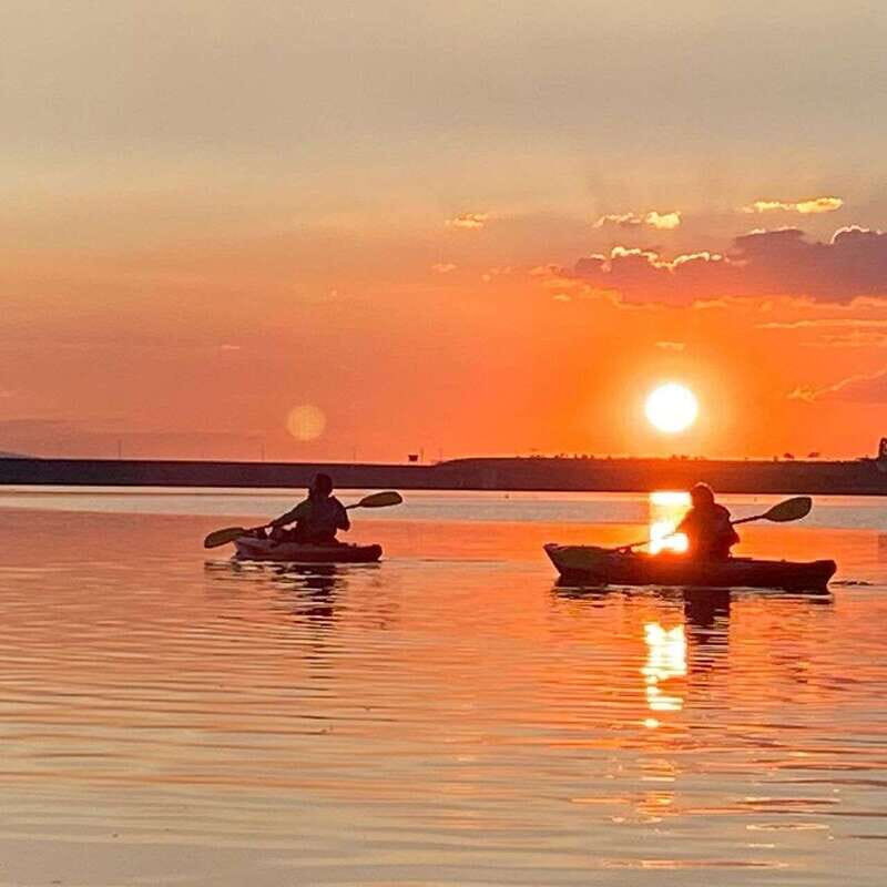 From Guanajuato: Presa La Purisima Park Kayak Tour - Two hours on the water: views, birds, and wildlife talk that stays practical