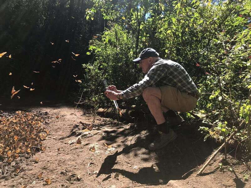 From Mexico City: 7-Day Monarch Butterfly Tour - Starting in Mexico City: you get guided momentum, not chaos
