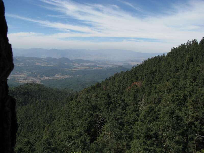From Mexico City: 7-Day Monarch Butterfly Tour - Piedra Herrada Sanctuary: a newer, wilder viewing day