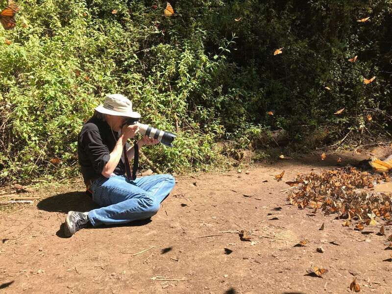 From Mexico City: 7-Day Monarch Butterfly Tour - The Anthropology Museum stop: more than a detour day