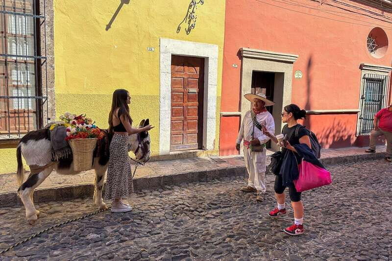 From Mexico City: San Miguel de Allende Day Trip - Key things I’d watch for