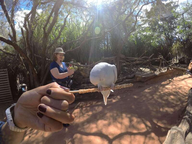 From Puebla: Africam Safari Private Tour all included - Adventure Zone: Smaller Species With Big Personality