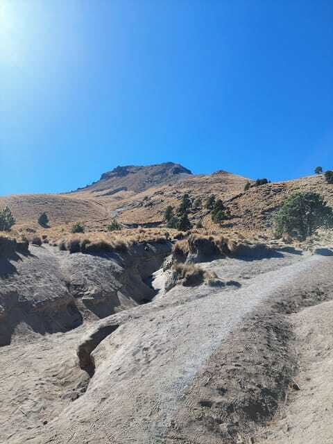 From Puebla: Malinche mountain Hiking private Tour - Wildlife, flora, and geology: why the guide’s stories add value