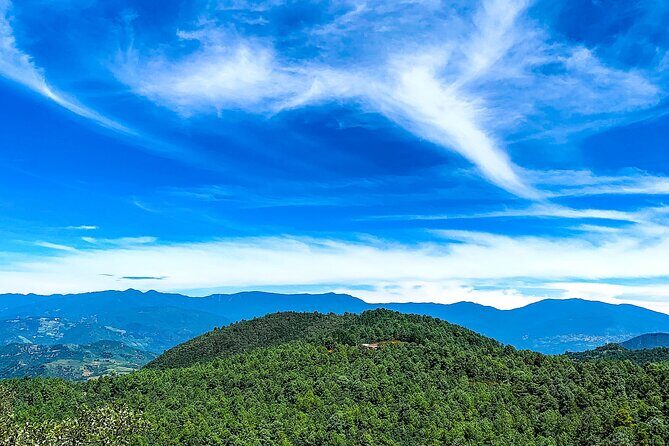 Full Day Bromeliad Forest Tour from Oaxaca - Stop 1: Las Ánimas Pine-Oak Bromeliad Forest and Waterfall Hike