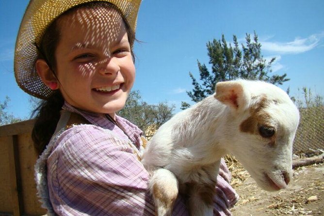 Full-Day Ranch Adventure and Horseback Riding Tour - Key Points Before You Go