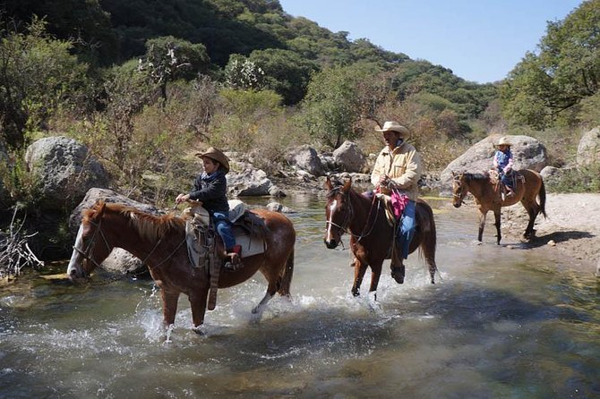 Full-Day Ranch Adventure and Horseback Riding Tour - Logistics That Matter: Meeting Point, Timing, and Group Size