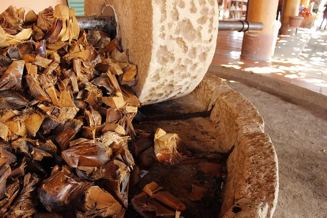 full day tour : Boil the water, Teotitlan, Mezcal, tule and Mitla - Mezcal distillery visit and tasting: what you’ll actually get