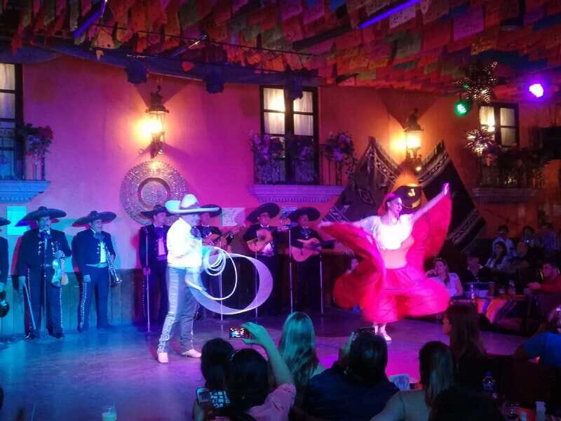 Garibaldi by Night with Dinner at Bellini - Key highlights that make this night tour worth your time