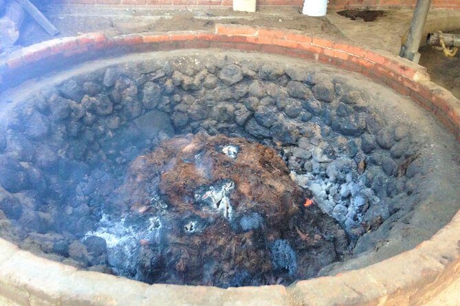 Gastronomy Experience, Culture Mezcal,Tasting & Textiles. Private Tour. - Timing, comfort, and practical tips that keep the day smooth