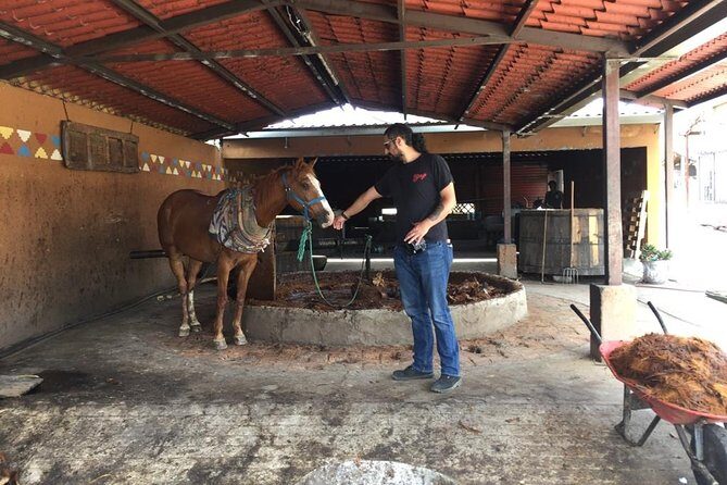 Gastronomy Experience, Culture Mezcal,Tasting & Textiles. Private Tour. - Should you book this mezcal, textiles, and gastronomy private tour?