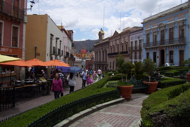 Guanajuato City Tour - Museo Casa Diego Rivera: Optional Art Time That Can Be Worth It
