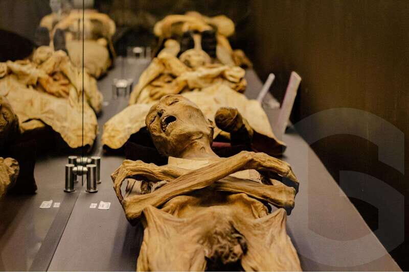 Guanajuato: Mummies, Mines and Tunnels Guided Group Tour - How the tour handles timing (and why you should cooperate)