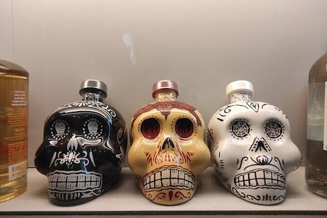 Guided Tour to the Tequila and Mezcal Museum - What’s not included (so you don’t get surprised)