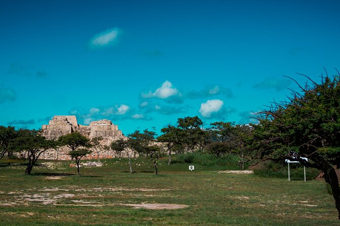 Half-Day Archeological Private Tour in San Miguel De Allende - Pickup at Cuna de Allende and the 9:00 am Start Time