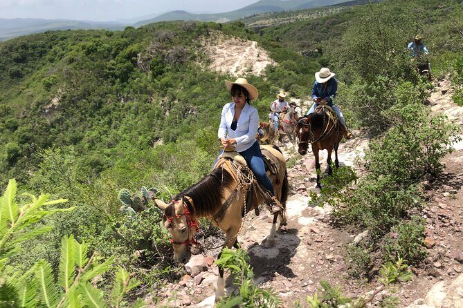 Half Day Excursion - Horseback Riding Adventure in SMA - Cow milking and cheese-making: the part that makes it feel authentic