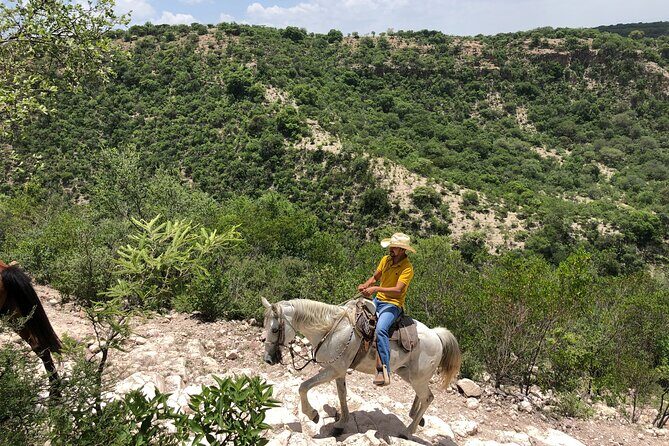 Half Day Excursion - Horseback Riding Adventure in SMA - The ranch meal and drinks: where the day lands