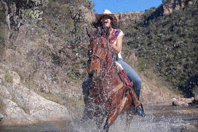 Half-Day Horseback Riding Adventure - The “pause break” by the cliffs, plus the 150-foot rappel option