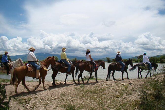 Half-Day Horseback Riding Adventure - Plains, cattle, and the return descent down La Virgen