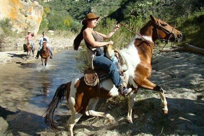 Half-Day Horseback Riding Adventure - The organic ranch meal after the ride (and what to expect about alcohol)