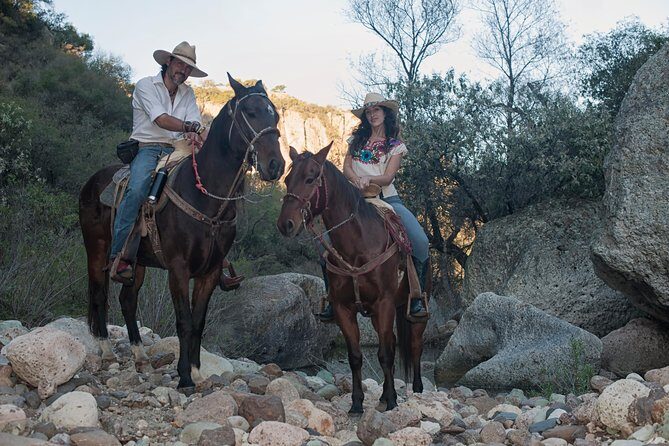 Half-Day Horseback Riding Adventure - Horses, cowboys, and how safety and control actually work