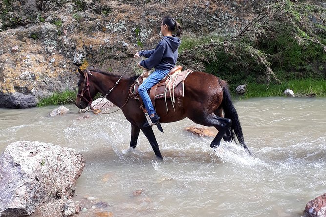 Half Day Trail Riding in San Miguel de Allende - The ride itself: river crossings, canyon edges, and open trails
