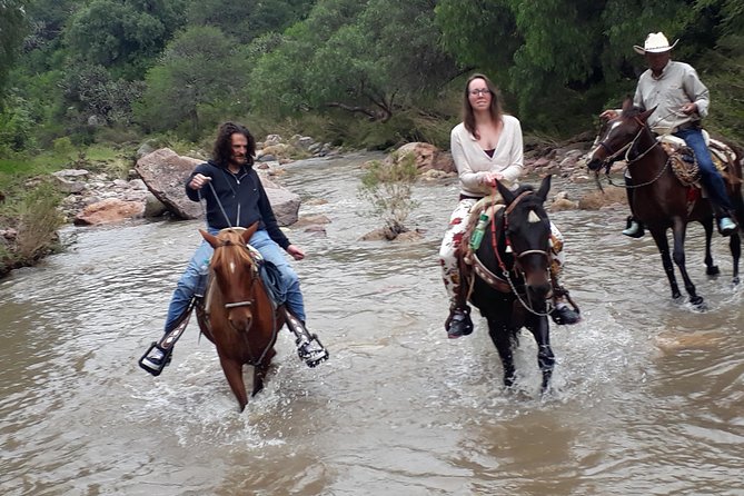 Half Day Trail Riding in San Miguel de Allende - Morning trail ride vs late-afternoon sunset ride (and why it matters)