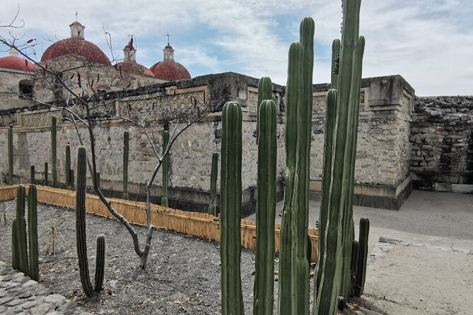 Hierve el Agua Guided Full Day Tour in Oaxaca - Pickup, vehicle comfort, and why timing feels everything