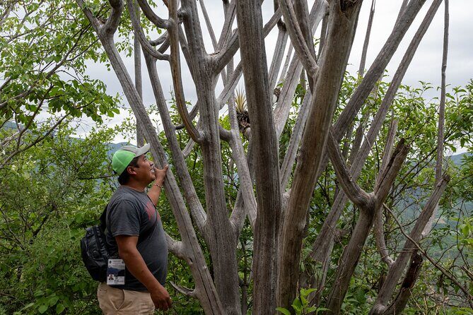Hierve el Agua Half-Day: Early Access & Personal Guide + Pickup - Transportation and total timing: what a 6-hour half-day really means