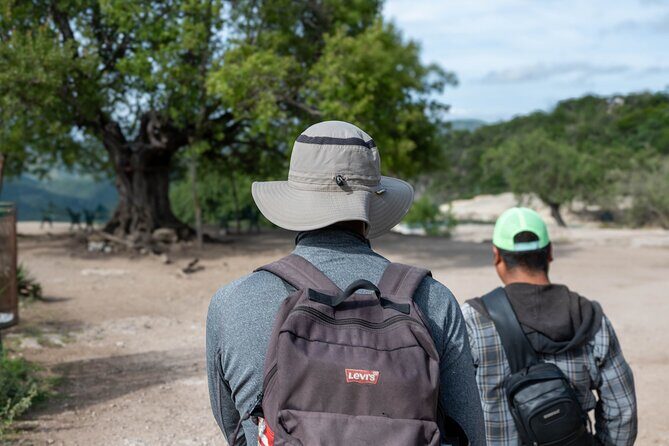 Hierve el Agua Half-Day: Early Access & Personal Guide + Pickup - Price and value: is $78.63 worth it?