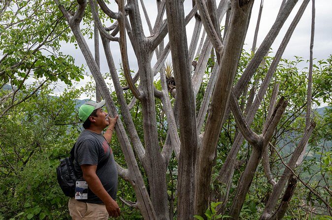Hierve el Agua Half-Day: Early Access & Personal Guide + Pickup - What to bring for comfort at Hierve el Agua