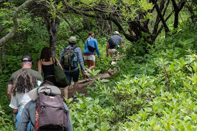 Hierve el Agua Half-Day: Early Access & Personal Guide + Pickup - Hierve el Agua: trails, petrified waterfall viewpoints, and pool time