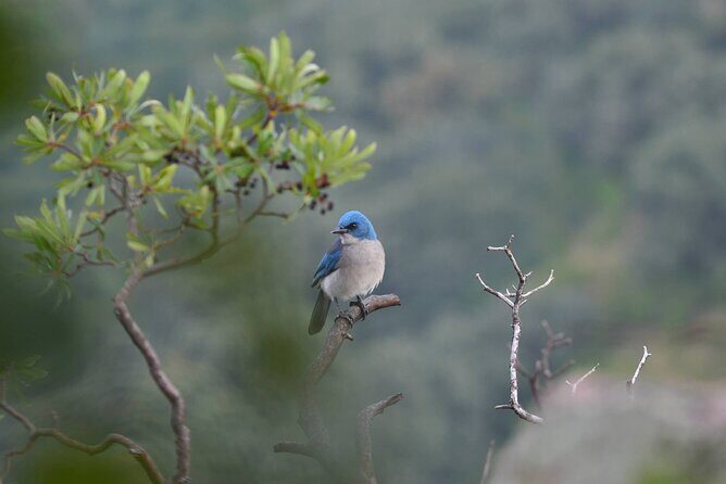 Hike in the Sierra de Santa Rosa - Why This Sierra de Santa Rosa Hike Feels Worth It