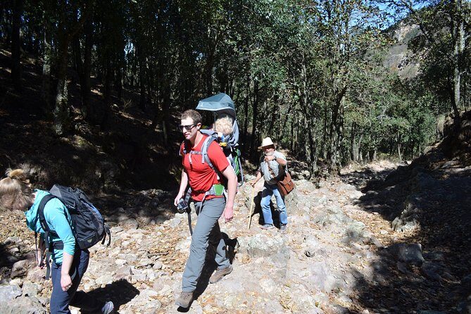 Hike in the Sierra de Santa Rosa - Morning Logistics: Pickup, Timing, and What to Expect Before You Walk