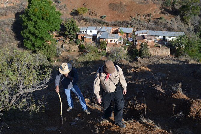 Hike in the Sierra de Santa Rosa - Nature Time That Actually Teaches Something (Binoculars and Field Guides)
