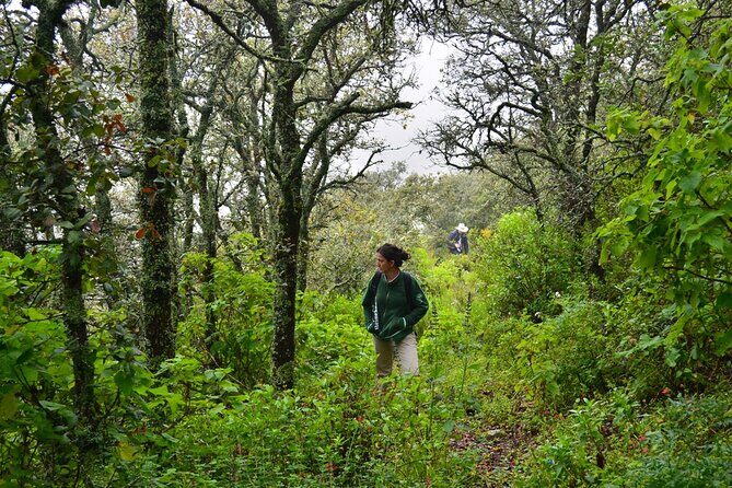 Hike in the Sierra de Santa Rosa - The Santa Rosa Village-to-Viewpoint Story: Why That Vista Matters
