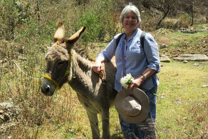 Hike in the Sierra de Santa Rosa - Meet Your Guide: What Antonio Brings to the Day