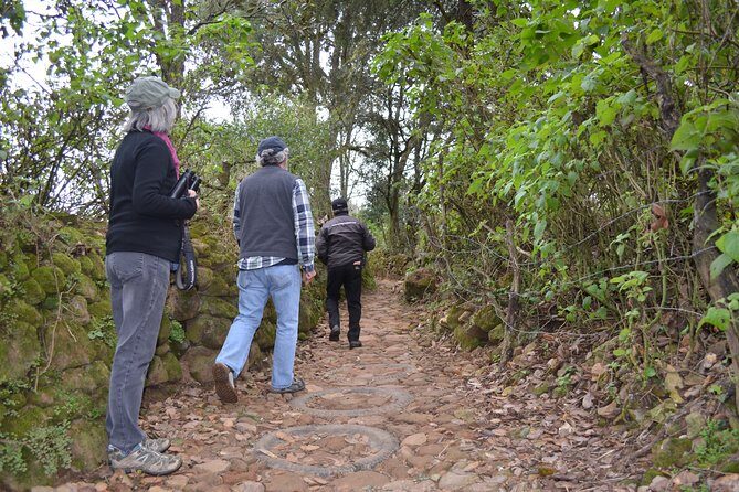 Hike in the Sierra de Santa Rosa - Who This Hike Fits Best (And Who Might Want a Different Option)