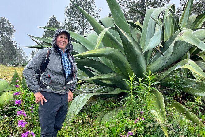 Hike in the Sierra Norte, Cuajimoloyas - Price and value: What $215.20 buys you here